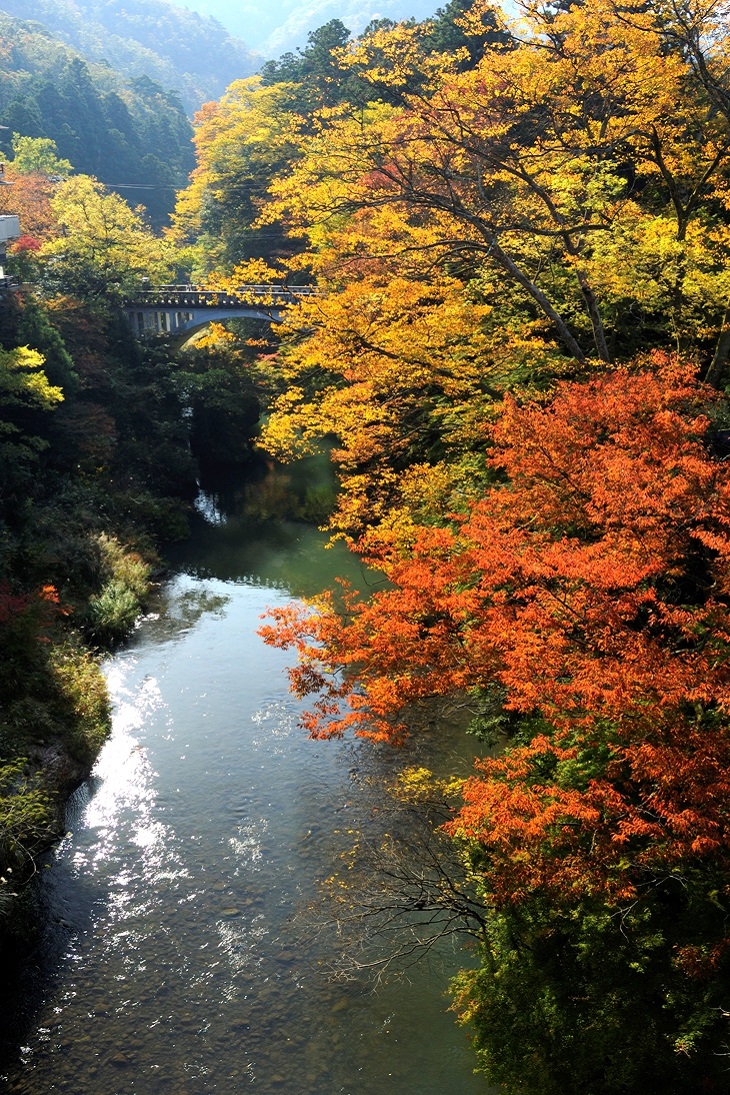 2泊3日 加賀温泉郷総湯巡り 絶景紅葉 絶品 加能かに の旅 エモーショナルツアーズ