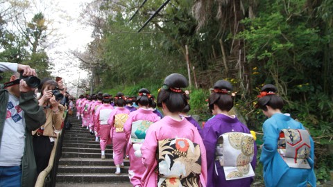 【4泊5日】富山｜氷見まるまげ祭り｜2026年4月16日出発限定｜良縁を願う「氷見まるまげ祭り」参加と氷見グルメ満喫の観光ツアー